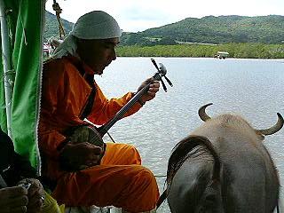 沖縄≪由布島≫水牛車