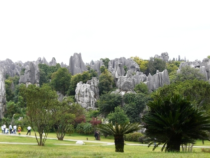 世界遺産申請中！雲南省“石林”の石柱群！