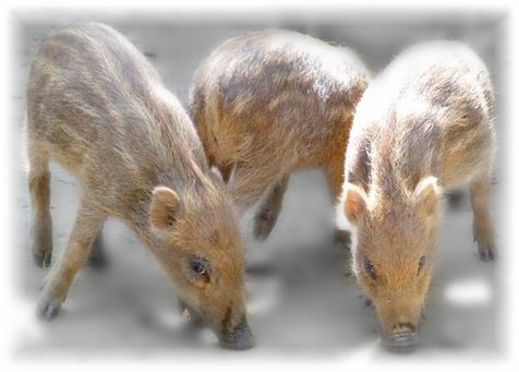 明けましておめでとうございます（遅っ）