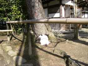 東国原英夫（そのまんま東）宮崎県知事が・・・