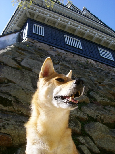 旅に魅せられ、旅をおもい、旅を生業とし、旅にいざなう・・・