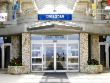 社員旅行＠沖縄本島２日目～美ら海水族館～