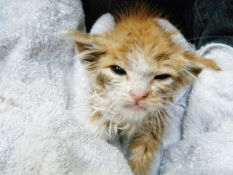 今年も１年ありがとうございましたm(__)m