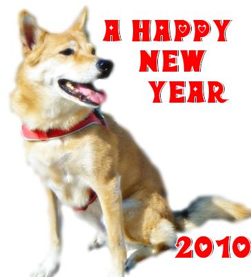 明けましておめでとうございます。