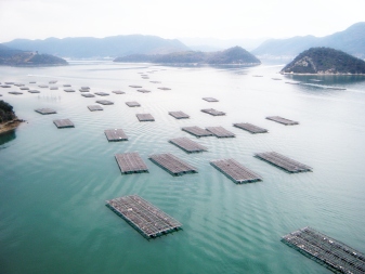 今年も行ってきました“かきおこ”＠日生