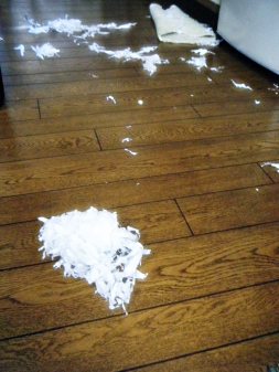 人造人間ハカイダー