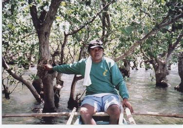 海の森　～マングローブ　～