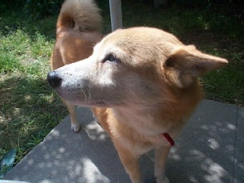 Umeのゴールデンウィーク