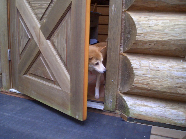 Umeとバカンス Part1