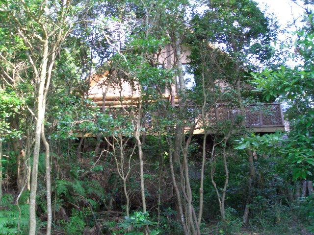 Umeとバカンス Part2