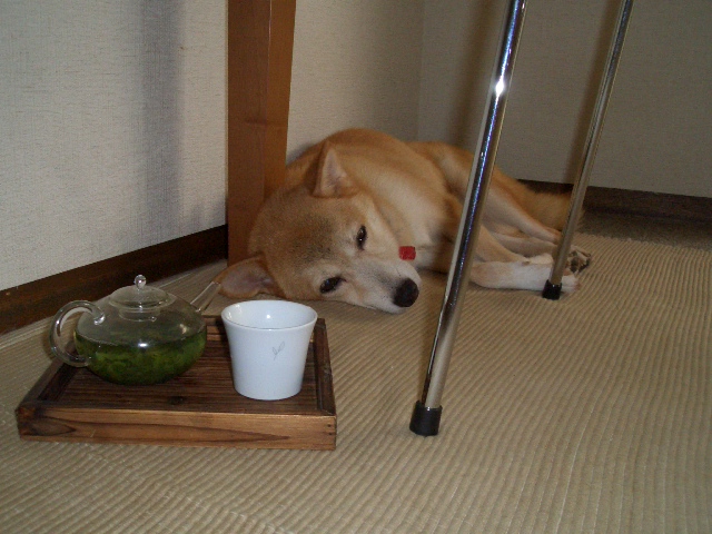 のんびりお茶タイム