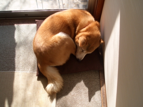 Ume　クロワッサン