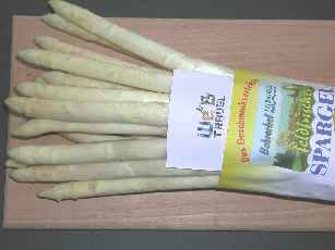 W杯！ 絶対食べよう、シュパーゲル！！