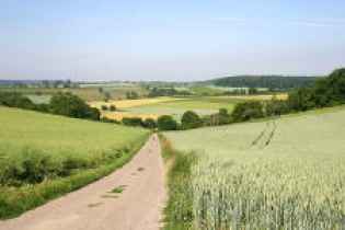 ベートーベンのまぶたの奥には、、、