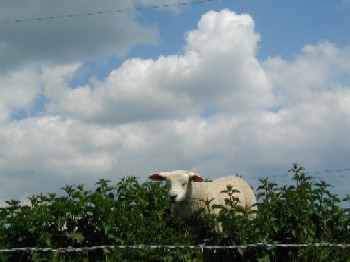 ゆみちゃんの休暇、１・２日目