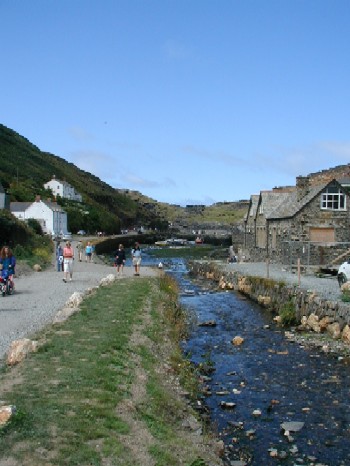 ティンタゲルとボスカーソル