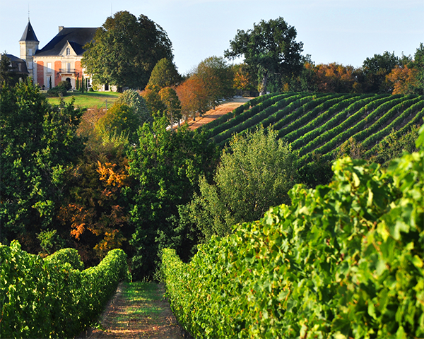 世界のワインを楽しむワイナリー巡り： BESTシーズン【秋】旅