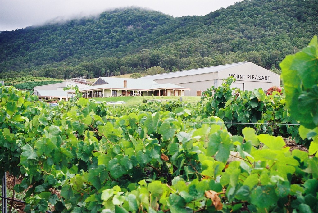 ハンターバレー ～ワイナリー巡り～