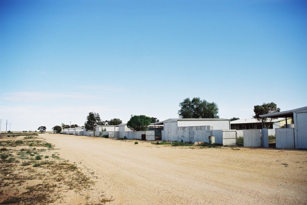 オーストラリアは美しい国？