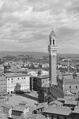 Siena2