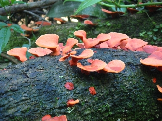 国立公園内にて
