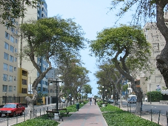 ミラフローレス地区の通り