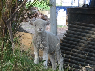 ガソリンスタンドにて