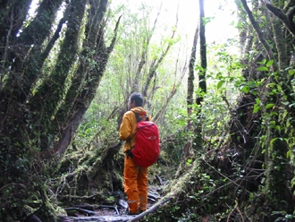 チロエ国立公園