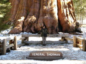 セコイア＆キングスキャニオン国立公園・２日目