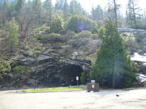 マリポサグローブからヨセミテバレーへ－３日目