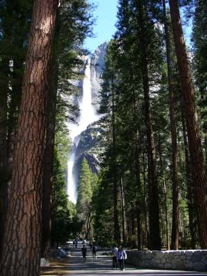 ヨセミテ国立公園・バーナル＆ネバダ滝トレイルその１－４日目