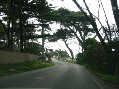 サンフランシスコ～ロサンゼルス－６日目～最終日