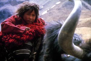 ネパールの山の暮らしを感じられる映画