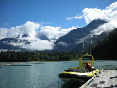 グリズリーベア・ツアー