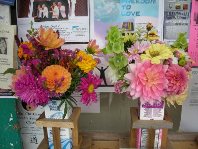 オーガニックファーム－カナダ・ソルトスプリング島