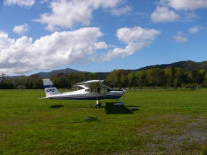 ヤングイーグル