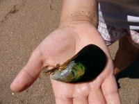 週末の過ごし方