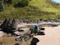 命がけでムール貝