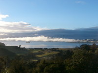 ハウスシッター