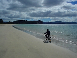 自転車が楽しい