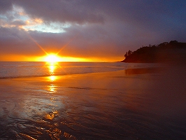 無言で教えてくれる