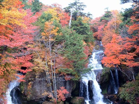 紅葉シーズンを前に