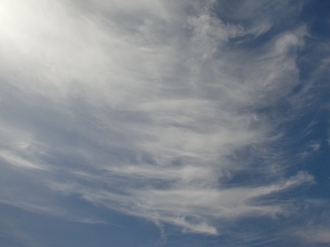 忙しい毎日、つかの間の「のんびり」を楽しみましょう