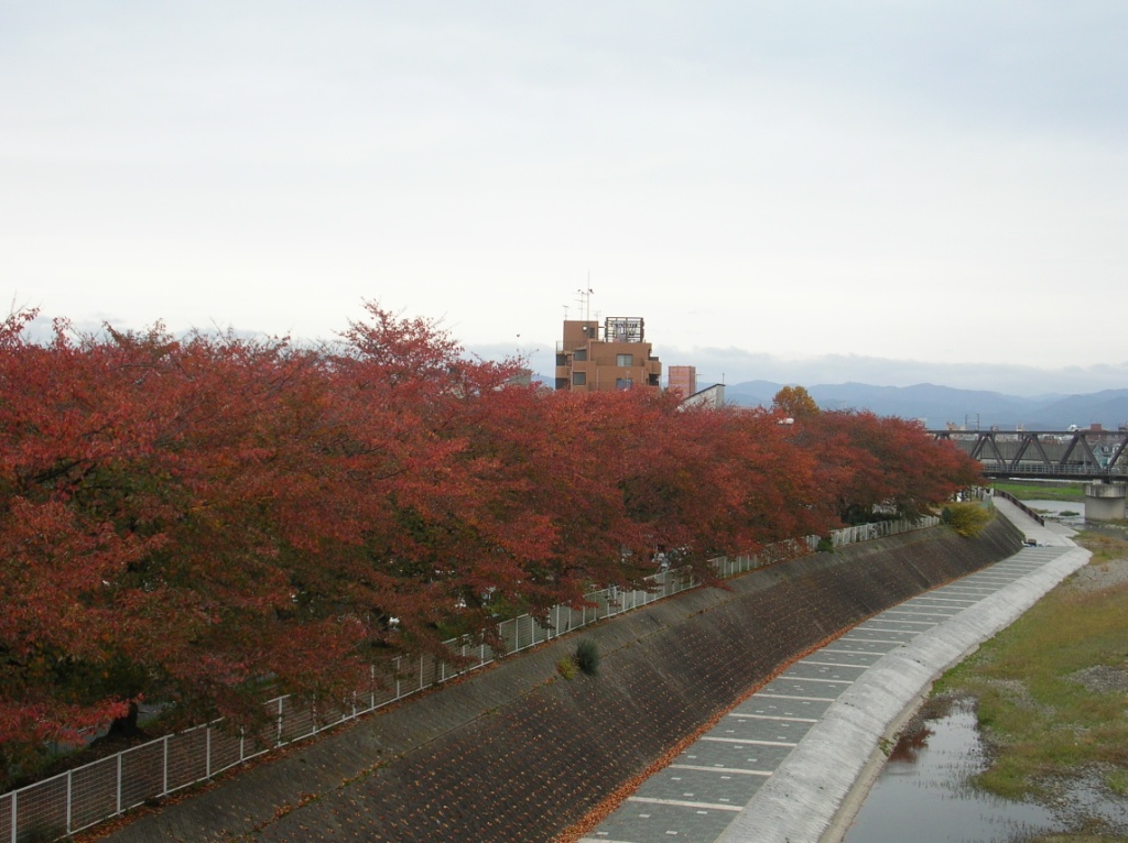 東福寺そぞろあるき by tetsushi