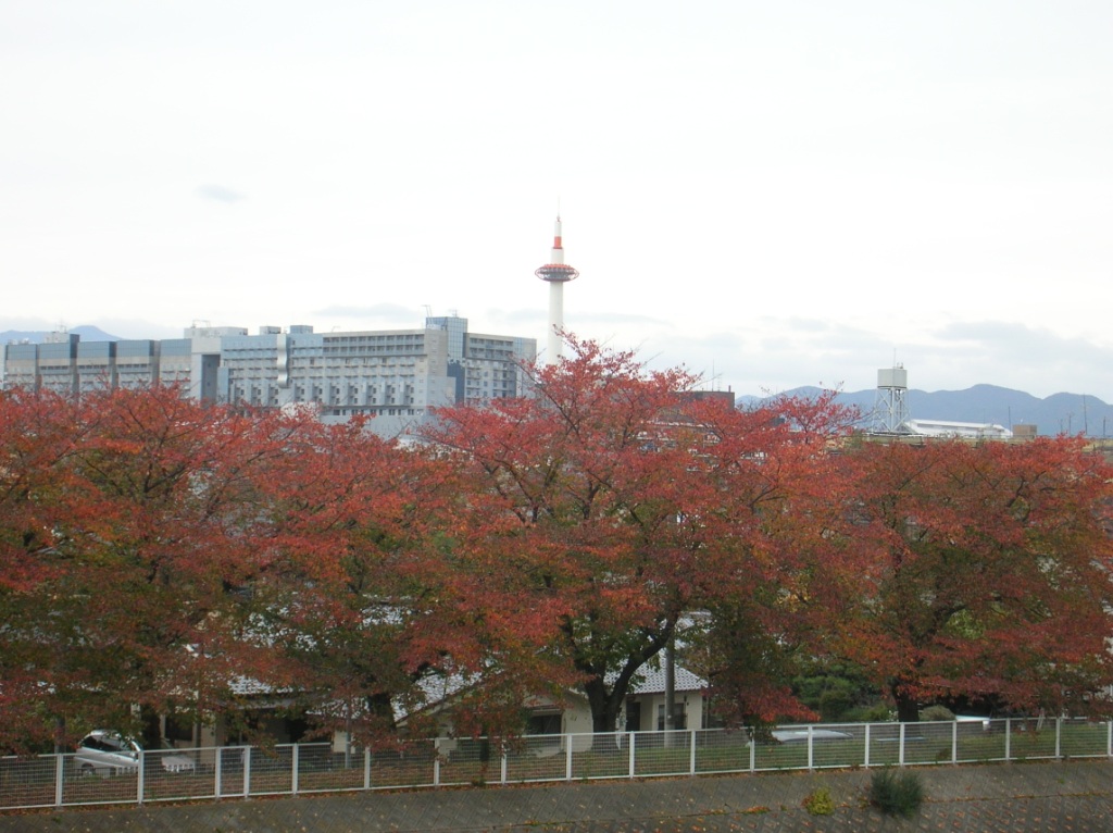 京都　紅葉