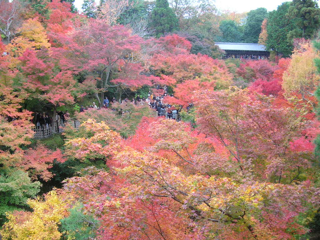 京都　東福寺