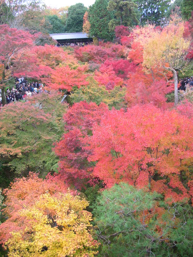 京都　東福寺