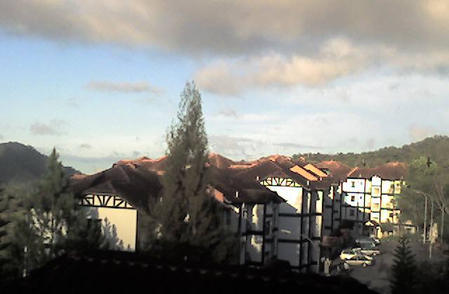 視覚障害者の旅のコーナー、始まり～ぃ