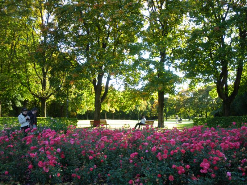 地球は丸い、丸いはりんご、りんごは赤い、赤いは紅葉・・・
