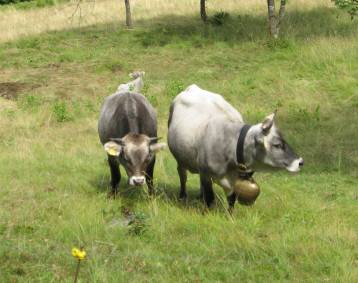 Happy New Year 新年おめでとう　Sawat dee pii mai